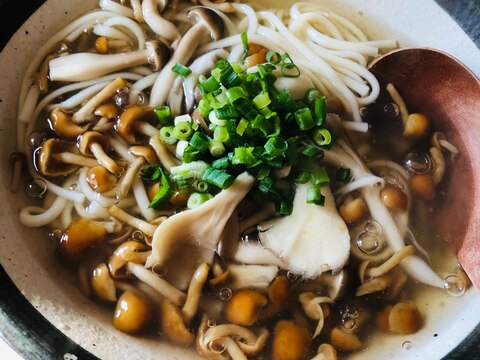 しょうが風味のきのこあんかけうどん